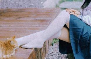 如果资源都是摆设，51cgcc的存在意义在哪里？