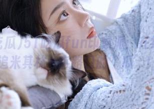 51吃瓜fun印象派：在线看着追米其林十字路口的‘瓜’！