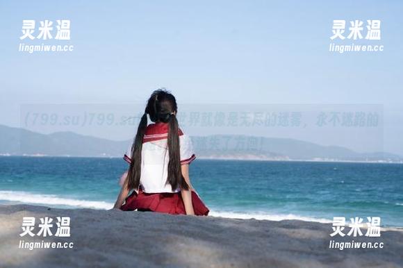 799.su 799.su的八卦世界就像是无尽的迷雾,永不迷路的旅途我已经迷失了方向!