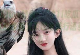 ios特供:“91i吃瓜”最新报道,今天的饭圈又有哪些流行语引起我的兴趣?