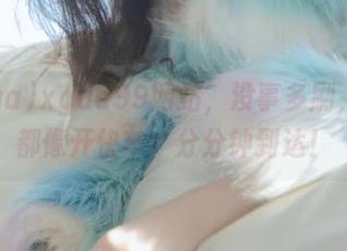 xgua99网站，没事多刷，八卦都像开快车，分分钟到达！