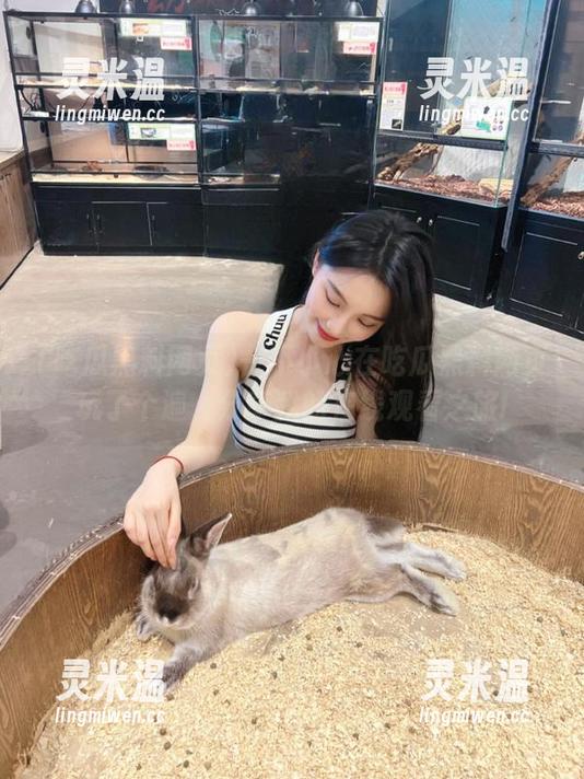 一不小心在吃瓜黑料网页玩了个遍，分享我的在线观看之旅!