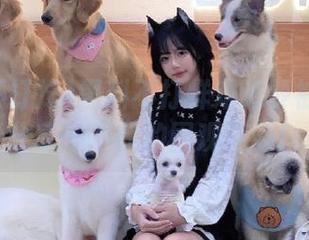 黑料不打烊难道要被封印？分享一下我的围观感受！