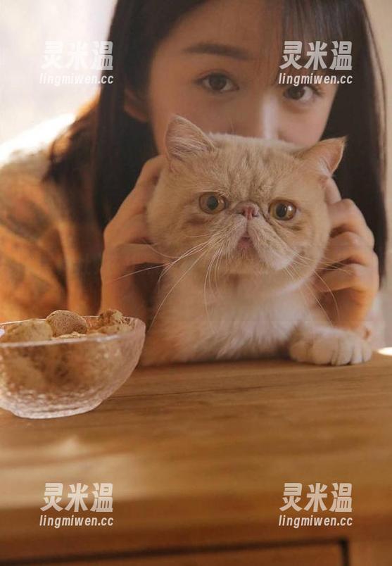 黑料社 在线黑料社导航:速递最新八卦,轻松避雷!