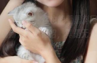 登录后，你也能看黑料网那个超会玩的最新在线看花招，真是无处不在啊。